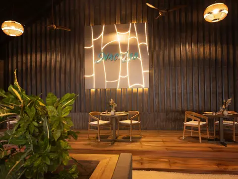 Nala_Snack_Lab_Dining_Ambience