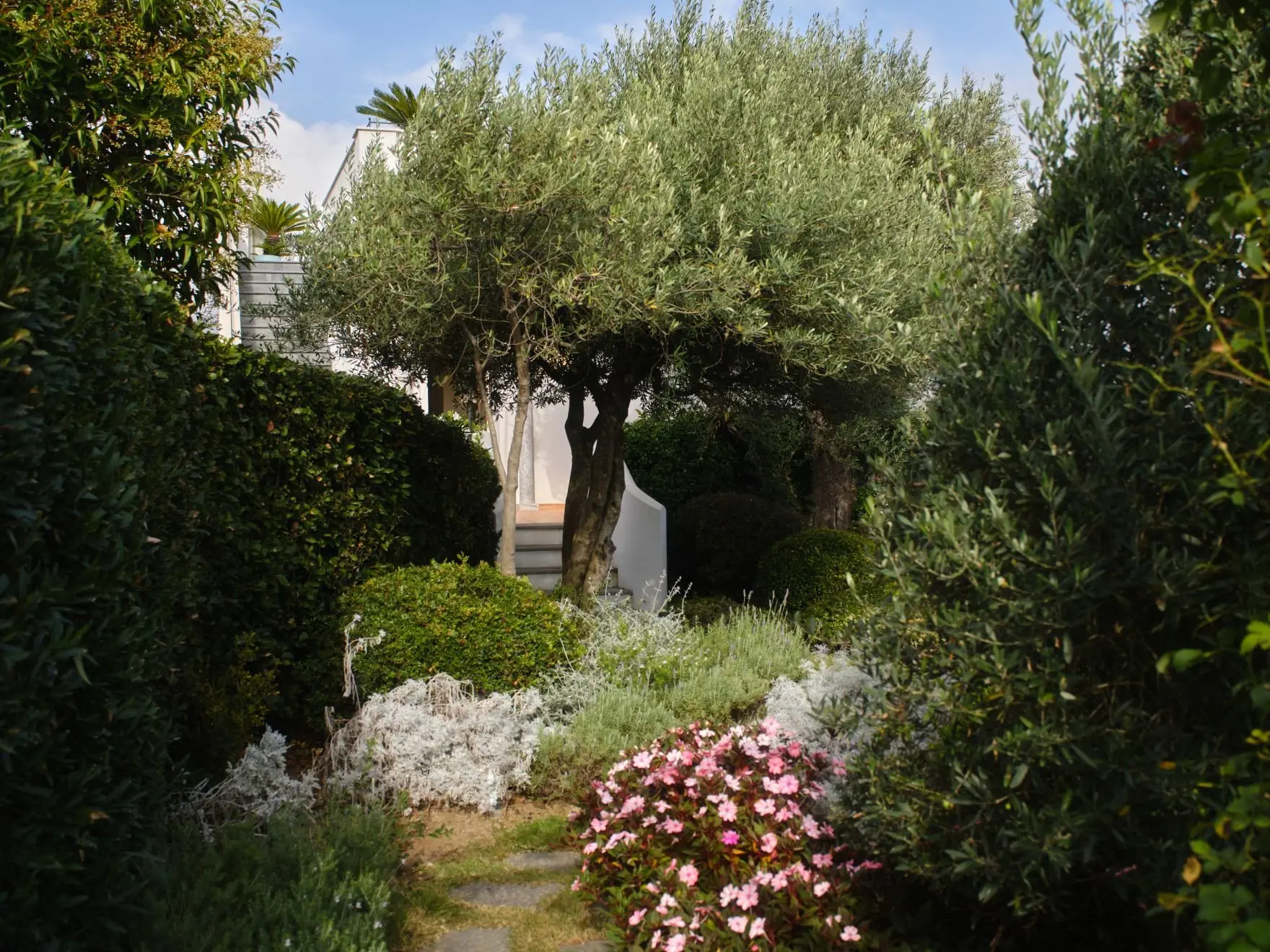 CAR-ACC-SUI-010124-1