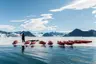 2_Antarctique_Activite_Kayak_SJORGREN_RomainFarge