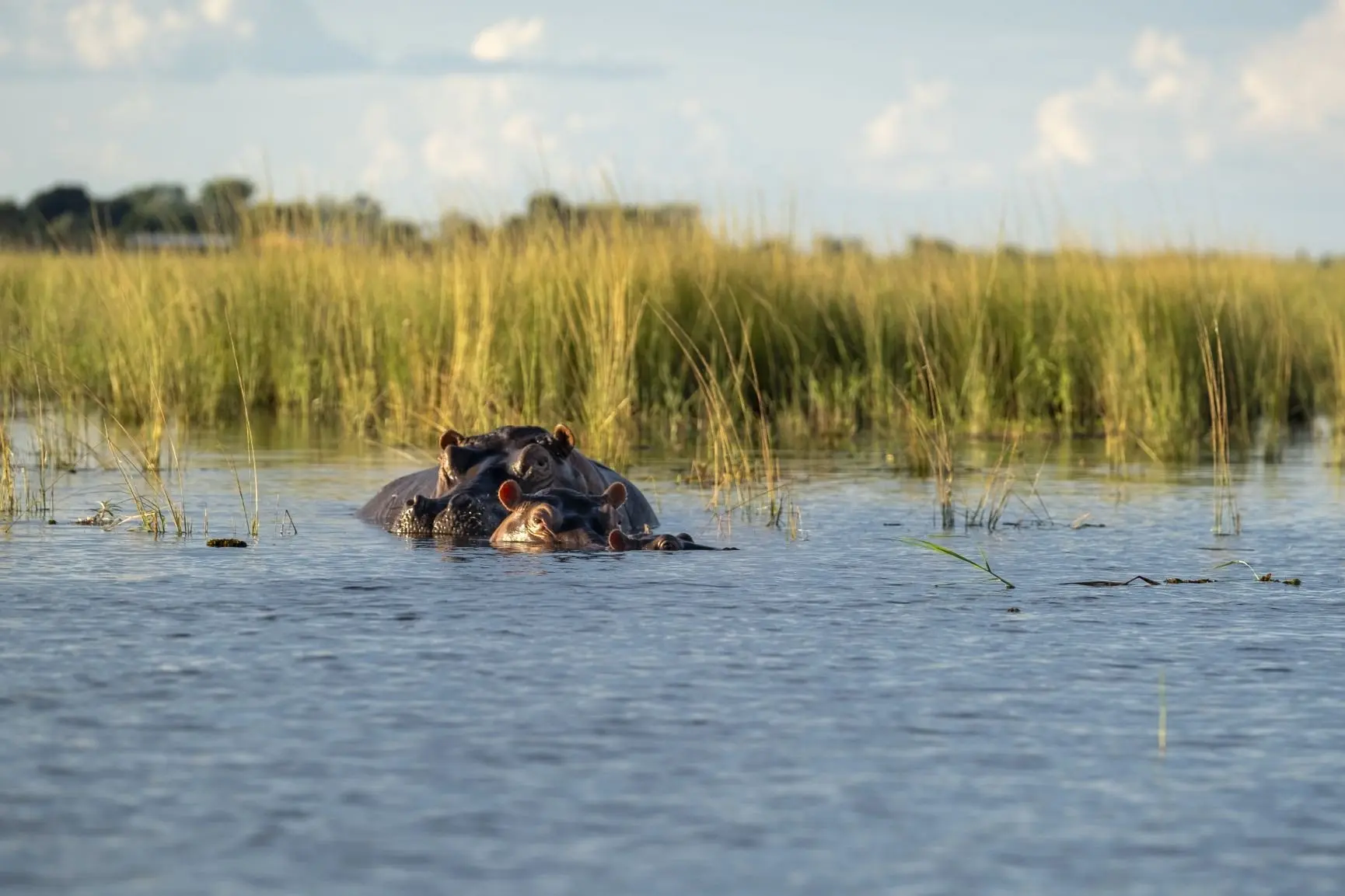20230317_SanctuaryChobe_FujiFilm_XT4_1935
