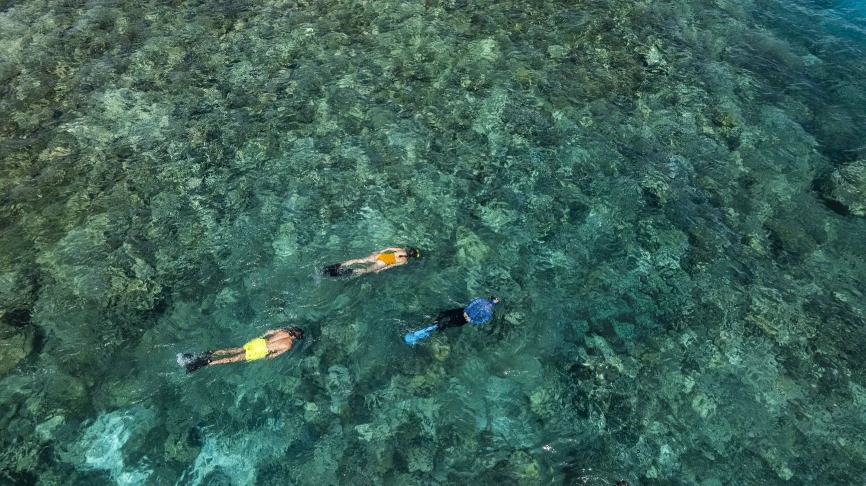 AK_MLEHP_Watersports_Guided_Snorkelling_of_House_Reef_01