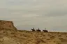 Amangiri, USA - Experiences, On-Property Horseback Riding
