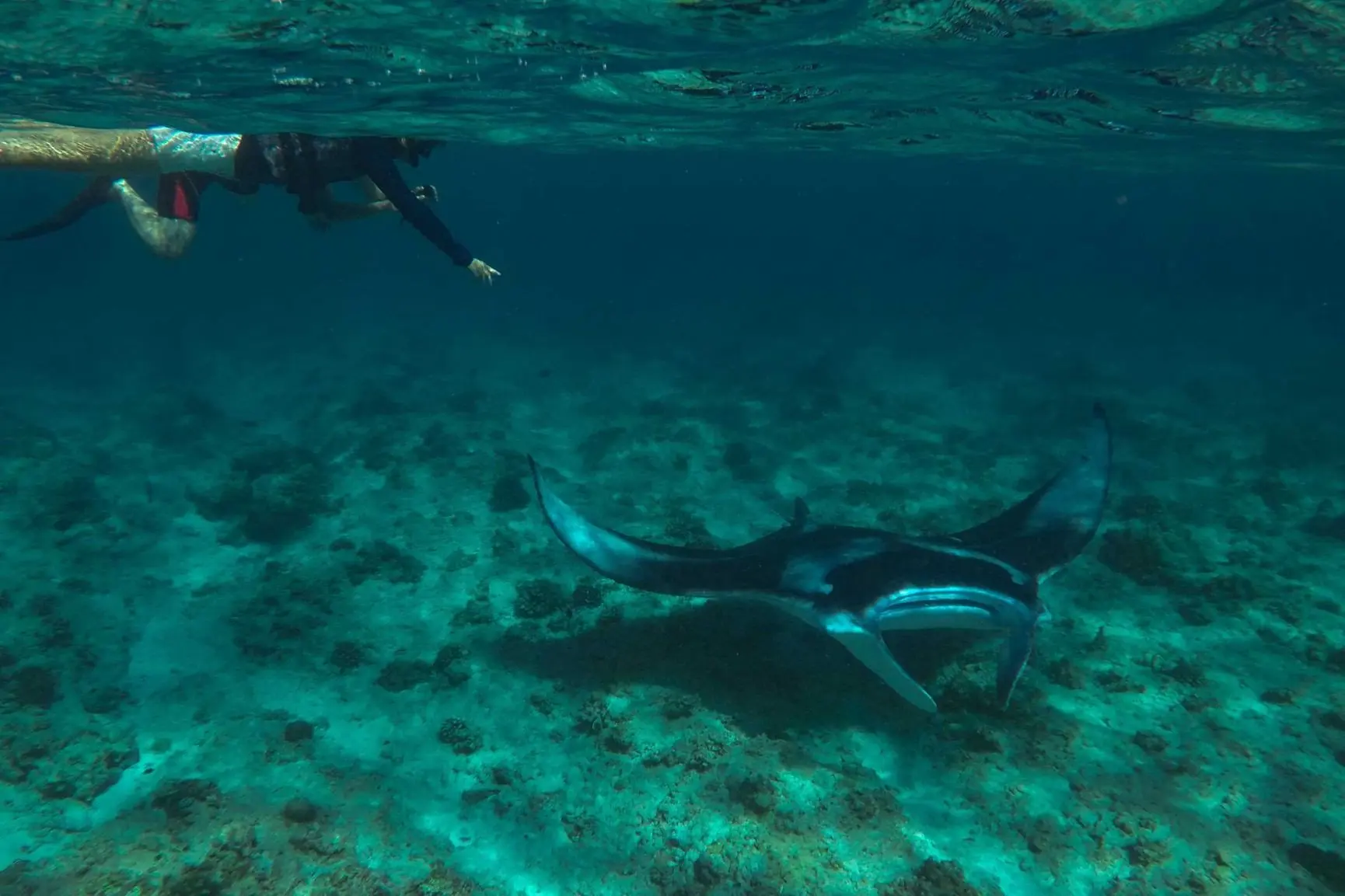 MSTS_Half Day MAnta Search trip