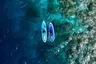 MSTS_Water Sports