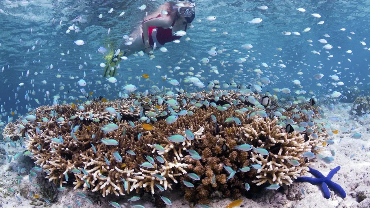 24-wakatobi-snorkeler-in-front-of-resort-walt-stearns-e1487583654413